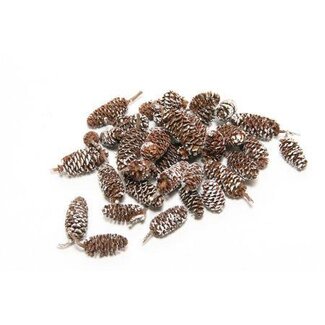 HBXD Pinecone Birch 300g