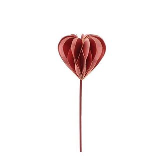 HBXD Stem Heart Tone Foldy L50H7D3.5