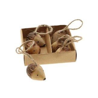 HBXD Hanger Hedgehog Kina 6pcs