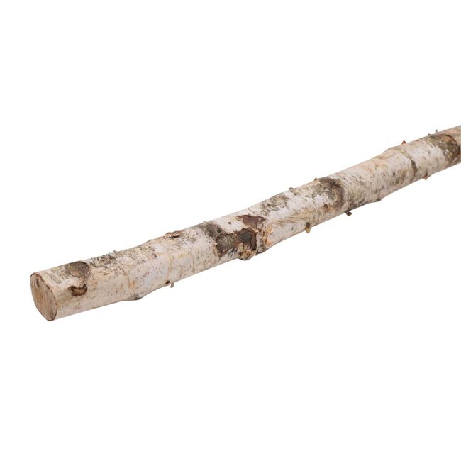 Branch Birch L150 D4/6