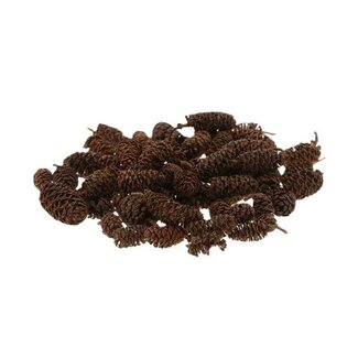 HBXD Hobby Pinecone Birch 30g