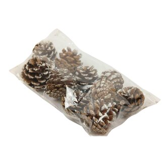 HBXD Pinecone Silvester 200g