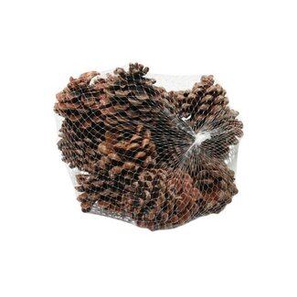 HBXD Pinecone Pinea L9/12 15 Pcs