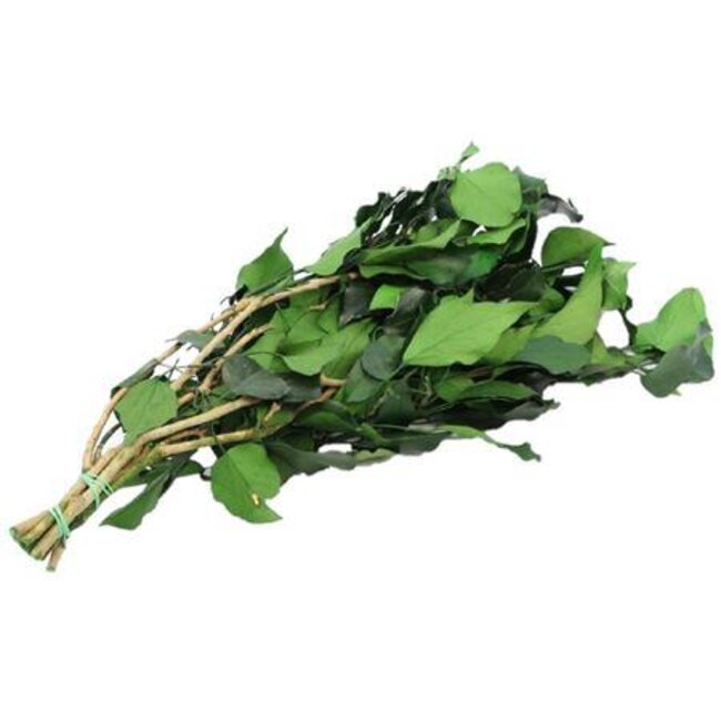 Bunch Hedera Pres. 150g L65