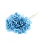 Bunch Hydrangea Pres.L30