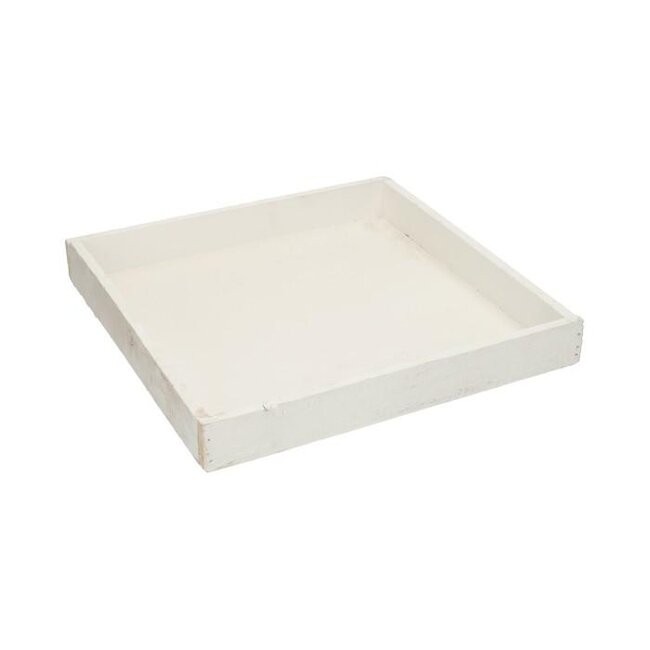 Tray Firmiana L30W30H4