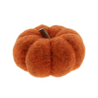 HBXD Pumpkin With Wooden Stem H11D19