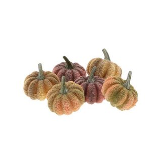 HBXD Pumpkin Pepita 6pcs H3.5D6