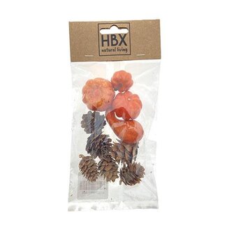 HBXD Pumpkin and Cone 10pcs