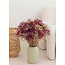 Bordeauxrode met goudkleurige Mix Gypsophila droogbloemen | Gepreserveerd Gipskruid | Lengte ± 65 centimeter | Per 100 gram