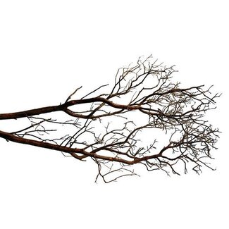 HBXD Decoratieve Tak “Manzanita” | Kleur: Bruin | Droogdecoratie | Lengte  60 centimeter | Per tak