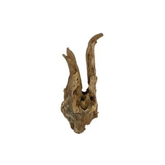 HBXD Decoratieve Tak “Teak Membatu” | Kleur: Bruin | Droogdecoratie | Hoogte 50 centimeter | Diameter 22 centimeter | Per tak