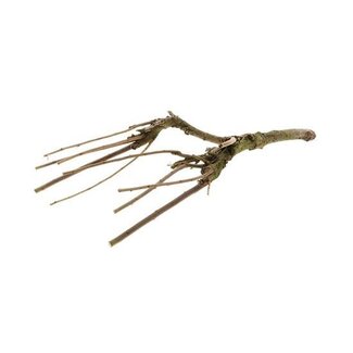 HBXD Fliederzweig “Sering Mossed” | Farbe: Braun | Herbstdekoration | Länge 60 Zentimeter | Pro Zweig