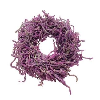 HBXD Couronne « Snake Limonium » | Couleur : violet lilas | Décoration de Noël | Hauteur 8 centimètres | Diamètre 40 centimètres | Par couronne
