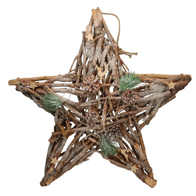 Kerst naturel Ster takken deco d60*15cm
