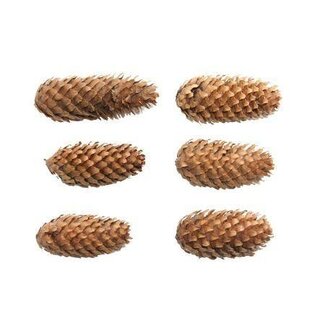 HBXD Dennenappel “Spruce” | Kleur: Bruin | Kerstdecoratie | Gewicht 5 kilo | Per zak