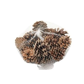 HBXD Pine cone “Austrian” | Colour: Brown | Christmas decoration | Weight 1 kilo | Per 10 nets