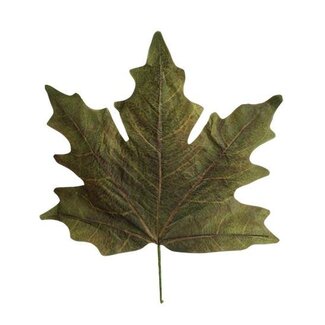 HBXD Decorative Leaves “Maple Leaf Calvi” | Colour: Orange | Autumn decoration | Length 73 centimetres | Width 78 centimetres | Per 4 leaves