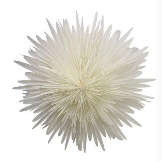 HBXD Flower hanger “Foldy” | Colour: Natural White | Home decor | Height 60 centimetres | Diameter 60 centimetres | Per hanger