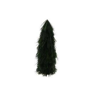 HBXD Tree Masson Pine H40D19