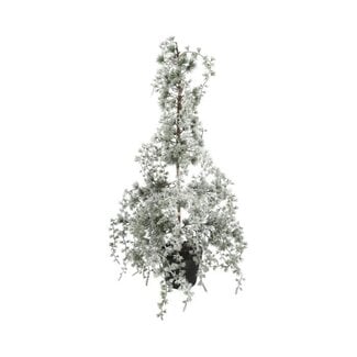 HBXD Decoratie boom “Weeping Pine Snow” | Kleur: Groen Wit | Hoogte 90 centimeter | Diameter 40 centimeter | Per boom