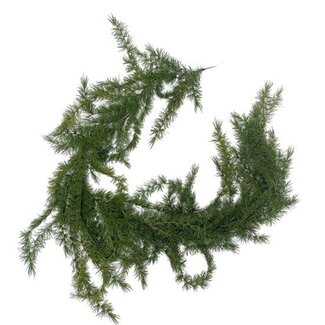 HBXD Slinger “Ceder” | Kleur: Groen | Lengte 205 centimeter | Per slinger