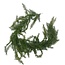 Slinger “Ceder” | Kleur: Groen | Lengte 205 centimeter | Per slinger
