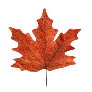 HBXD Dekorative Blätter „Maple Leaf Calvi“ | Farbe: Braun | Herbstdekoration | Länge 73 Zentimeter | Breite 78 Zentimeter | Pro 4 Blätter