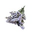 Statice Sinuata | Milka Light | 75 gr | 70 cm