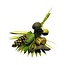 BQT Exotic Green | 250 gr | 60 cm