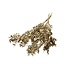 Ruscus | Gold | 100 gr | 70 cm