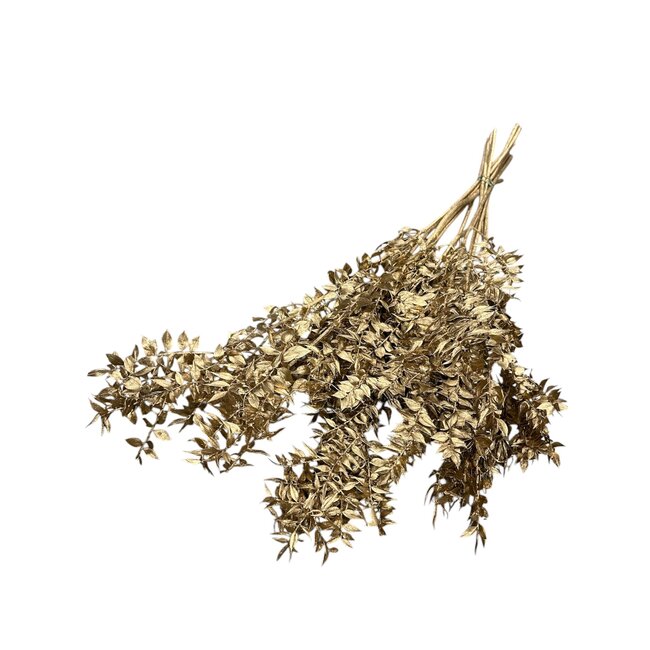 Ruscus | Gold | 100 gr | 70 cm