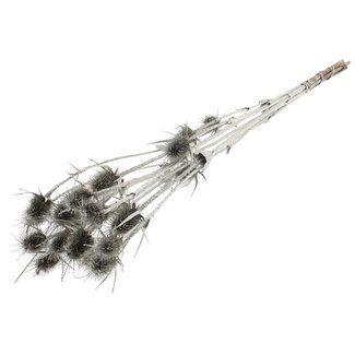 QC Gedroogde Distels | Kleur: Platina | Platinakleurige Cardistella Droogbloemen | Lengte ± 70 centimeter | 5 takken per bos | Per bos