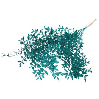 QC Gedroogde Ruscus | Kleur: Turquoise | Ruscus Droogbloemen | Lengte ± 70 centimeter | 10 takken per bos | Per bos