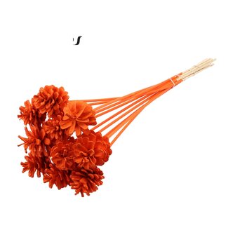 QC Dennenappel op stok | Kleur: Oranje | Diameter 5 - 7 centimeter | Lengte ± 50 centimeter | 10 bijstekers per bos