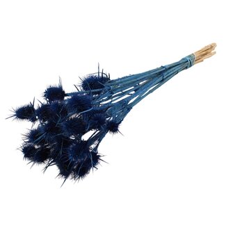 QC Gedroogde Distels | Kleur: Donkerblauw | Cardistella Droogbloemen | Lengte ± 55 centimeter | 10 takken per bos | Per bos