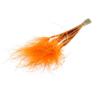 QC Gedroogd Stipa Vedergras | Kleur: Oranje | Stypha Penata Droogbloemen | Lengte ± 60 centimeter | 10 pluimpjes per bos | Per bos