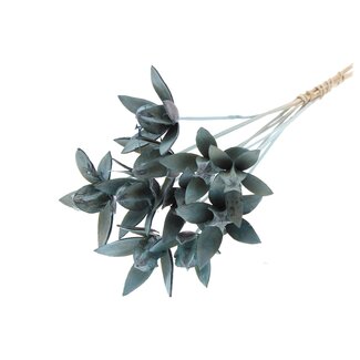 QC Wild Lily seedpod on stick | Colour: Frosted Light Blue | Length pick ± 50 centimeter | Per 10 picks
