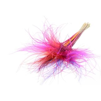 QC Gedroogd Stipa Vedergras “Sunset Berry Mix” | Kleur: Gemengde Kleuren | Stypha Penata Droogbloemen | Lengte ± 60 centimeter | 10 pluimpjes per bos | Per bos
