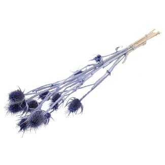 QC Gedroogde Distels | Kleur: Pearl Milkapaars | Cardistella Droogbloemen | Lengte ± 55 centimeter | 10 takken per bos | Per bos