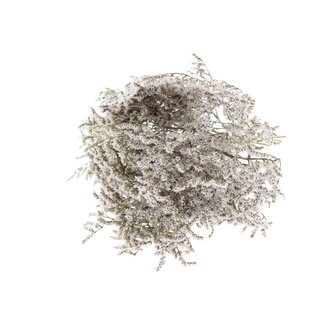 QC Gedroogde Zeelavendel | Kleur: Natuurlijk Wit | Limonium Tataricum Droogbloemen | Lengte ± 30 cm | Gewicht 45 gram | Per bos