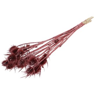 QC Gedroogde Distels | Kleur: Metallic Rood | Cardistella Droogbloemen | Lengte ± 55 centimeter | 10 takken per bos | Per bos