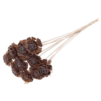 QC Cedar Rose on stem | Colour: Frosted Natural White | Pinecone pick | Length ± 50 centimetre | 10 picks per bunch