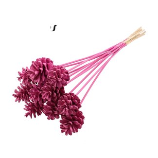 QC Dennenappel op stok | Kleur: Kerskleurig | Diameter 5 - 7 centimeter | Lengte ± 50 centimeter | 10 bijstekers per bos