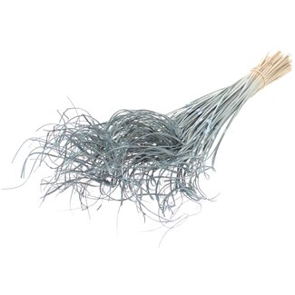 QC Gedroogd Palmblad Nerf | Curly Ting Ting | Kleur: Frosted Lichtblauw | Lengte ± 70 centimeter | 3 takjes per toefje | 33 toefjes per bos | Per bos