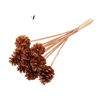QC Dennenappel op stok | Kleur: Koperkleurig met Glitter | Diameter 5 - 7 centimeter | Lengte ± 50 centimeter | 10 bijstekers per bos