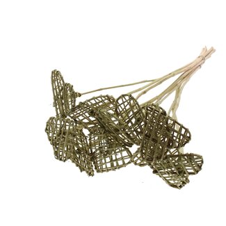 QC Rotan Lata Hart op stok | Kleur: Olijfgroen | Platte Bijsteker | Lengte ± 50 centimeter | 10 bijstekers per bos | Per bos
