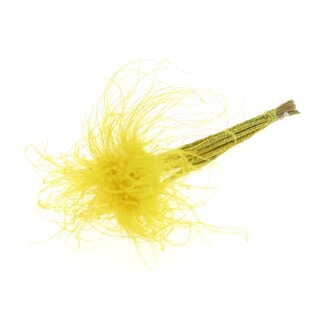 QC Gedroogd Stipa Vedergras | Kleur: Pastelgeel | Stypha Penata Droogbloemen | Lengte ± 60 centimeter | 10 pluimpjes per bos | Per bos