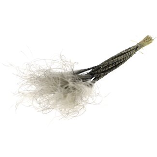 QC Gedroogd Stipa Vedergras | Kleur: Grijs | Stypha Penata Droogbloemen | Lengte ± 60 centimeter | 10 pluimpjes per bos | Per bos