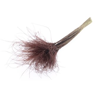 QC Gedroogd Stipa Vedergras | Kleur: Bruin | Stypha Penata Droogbloemen | Lengte ± 60 centimeter | 10 pluimpjes per bos | Per bos